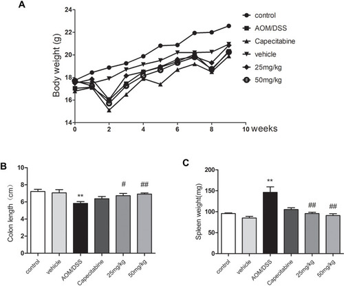 Figure 1 Effect of HLJ2 on AOM/DSS-induced CAC mouse model. HLJ2 effectively improved weight loss (A), colon contracture (B), decreased spleen index (C) in AOM/DSS-induced CAC mice. **P < 0.01 compared with control group; #P < 0.05, ##P < 0.01 compared with AOM/DSS group. Mean values ± SEM are shown (n=10).