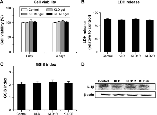 Figure S1 Effect of SAPs on cell viability, function, and inflammation of INS-1 β-cells.Notes: (A) Cell viability assayed by CCK-8 test. (B) Evaluation of cytotoxicity by LDH release assay at 24 hours. (C) Evaluation of β-cell functions by GSIS test at 24 hours. (D) Evaluation of β-cell inflammatory factor expression by WB at 24 hours. Data are mean ± SD.Abbreviations: K, lysine; L, leucine; D, aspartate; R, arginine; SAP, self-assembling peptide; CCK, cell counting kit; LDH, lactate dehydrogenase; GSIS, Glucose-stimulated insulin secretion test; WB, Western Blot; IL, interleukin.