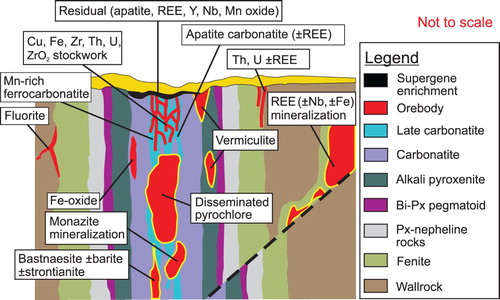 Figure 20. Vertical section of a hypothetical carbonatite mineralising system displaying the relationship between metallic and industrial mineral deposits relative to lithological units and geological contacts. The ‘distal’ carbo-hydrothermal fluid-related mineralisation or hydrothermally remobilised mineralisation (away from alkaline-carbonatite complex) and residual deposits within weathered crust above the carbonatite complex are also highlighted. Bi – biotite, Px- pyroxene. Modified from Laznicka (Citation2006).