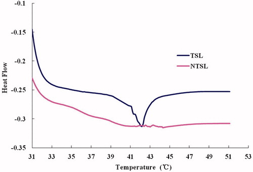 Figure 3. DSC of liposomal formulations, which shows phase transition of the TSL and NTSL, determined by differential scanning calorimetry (Q2000 differential scanning calorimeter, TA Instruments, USA).