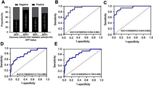 Figure 4 Analysis of the ability of serum ANGPTL2 levels to diagnose AFP-negative HCC.Notes: (A) ANGPTL2-positive rates in patients with HCC stratified by AFP status. (B) ROC curves for patients with HCC versus HCs in the discovery cohort; (C) ROC curves for patients with HCC versus HCs in the validation cohort; (D) ROC curves for patients with HCC versus high-risk controls (CHB + LC) in the validation cohort; (E) ROC curves for patients with HCC versus all controls (HC+CHB+LC) in the validation cohort. AFP <13.4 ng/ml is clinically normal and is considered as negative.Abbreviations: ANGPTL2, angiopoietin-like protein 2; AFP, alpha-fetoprotein; HCC, hepatocellular carcinoma; HC, healthy control; CHB, chronic hepatitis B; LC, liver cirrhosis; ROC, receiver operating characteristics; AUC, area under the curve; CI, confidence interval.