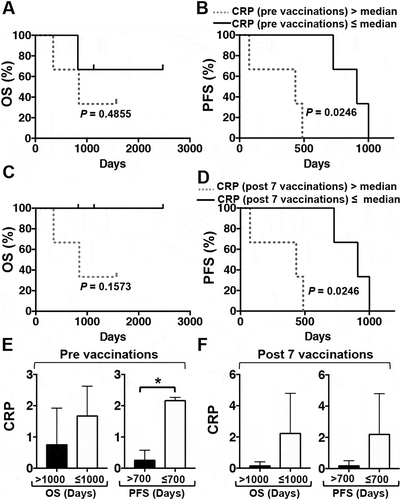 Figure 4. Kaplan-Meier estimates of the OS and PFS of PDA patients receiving multimodal therapy including DC/WT1-I vaccines. (A) OS and (B) PFS of all 6 enrolled PDA patients with CRP levels above (dotted line) or below (solid line) the median prior to vaccination. (C) OS and (D) PFS of all 6 enrolled PDA patients with CRP levels above (dotted line) or below (solid line) the median after 7 vaccinations. E: Prior to vaccination, the CRP levels of PDA patients with super-OS (OS>1000 days, Nos. 1, 2 and 5) and non-super-OS (OS≤1000, Nos. 3, 4, and 6) were compared. Moreover, the CRP levels of PDA patients with super-PFS (PFS>700 days, Nos. 1, 3 and 5) and non-super-PFS (PFS≤700, Nos. 2, 4, and 6) were compared. F: After 7 vaccinations, the CRP levels of PDA patients with super-OS (OS>1000 days, Nos. 1, 2 and 5) and non-super-OS (OS≤1000, Nos. 3, 4, and 6) were compared. Moreover, the CRP levels of PDA patients with super-PFS (PFS>700 days, Nos. 1, 3 and 5) and non-super-PFS (PFS≤700, Nos. 2, 4, and 6) were compared. CRP, C-reactive protein; OS, overall survival; PFS, progression-free survival; PDA, pancreatic ductal adenocarcinoma; DC/WT1-I, dendritic cells pulsed with major histocompatibility complex class I-restricted Wilms’ tumor 1 peptide.