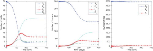 Figure 2. Numbers of humans, cattle and flies in each compartment with baseline parameter values as in Table 1 with IF=1, NH=300, NC=50 and L∗=4545, giving approximate equilibrium values SC∗=5, EC∗=5, IC∗=10, RC∗=30,SH∗=165, EH∗=12, IH∗=31, RH∗=92, SF∗=4929, EF∗=31, IF∗=40. For these parameter values, the reproduction numbers are R0=3.0298, R0H=1.9051, R0C=4.2505.