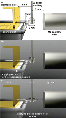 Figure 10 (Colour online) A FIDI experimental setup used for investigation of reactions between ozone and phospholipids on surfaces of liquid droplets. Reproduced with permission from Ref. [180].