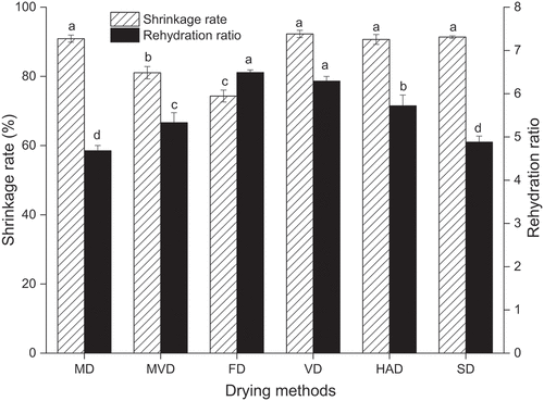 Figure 3. The shrinkage rate and rehydration ratio of freeze-thaw pretreated beetroots. Means with different letters were significantly different (p < .05).