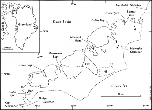 FIGURE 1.  Location and geological map of Inglefield Land showing the sample localities from 1999 (1–5). The simplified geology is based on CitationDawes et al. (2000), with the widespread Quaternary surficial deposits that blanket large areas omitted. Blank areas represent the Paleoproterozoic crystalline shield, with the Minturn syenite body marked MS; stippled ornament is the Mesoproterozoic to Lower Paleozoic sedimentary cover. Letters MS show the fan-shaped distribution of Minturn circles taken from CitationAppel (1996). Inset map: 1—Nares Strait, 2—Ellesmere Island, 3—Washington Land, 4—Peary Land