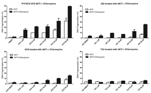 Figure 9. Effect of AZ7328 on apoptosis, as single agent or in combination with chloroquine. Bladder cancer cells (J82, UM-UC-5, UM-UC-9 and T24) were exposed to increasing concentrations of AZ7328 alone or in combination with a fixed dose of 50 µM chloroquine. Apoptotic cells were quantified by PI-FACS.