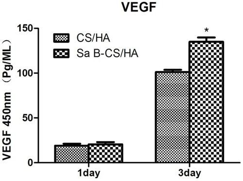 Figure 8 VEGF activity of HUVEC cultured in CS/HA and Sa B-CS/HA groups at 1 and 3 days..Notes: Values represent the mean of 3 times in each group (mean ± SD). *Significant difference between the values of Sa B-CS/HA group and CS/HA group (P<0.05).