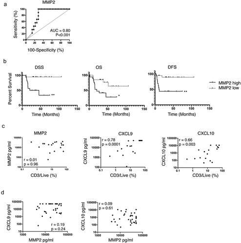 Figure 2. Soluble MMP2 is a prognostic biomarker of OCSCC, independent of T cell infiltration.