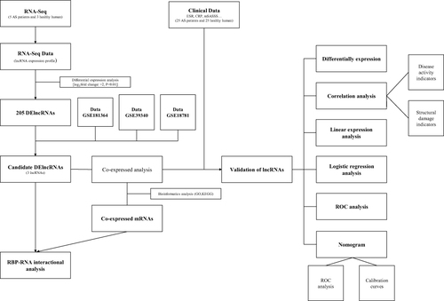 Figure 1 The overall design and flowchart.