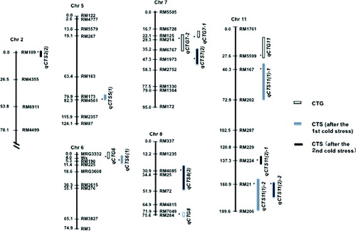 Figure 3. A linkage map constructed using 162 RILs and 102 SSR markers and positions of QTLs associated with cold tolerance at germination (qCTG) and seedling stage (qCTS). Positions of QTLs and the nearest markers were according to LOD plots obtained by QTL CARTOGRAPHER. For nomenclature of QTLs, see Table 1.