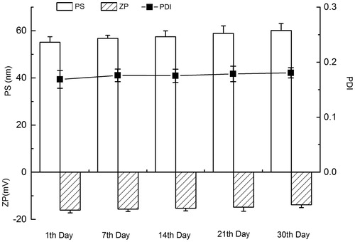 Figure 9. Time-dependent changes of LL-NLCs in the stability test (25 °C).