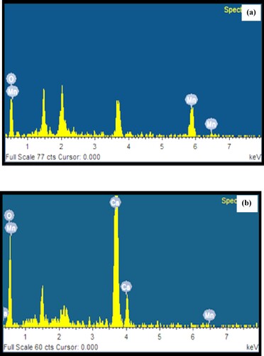 Figure 6. (a) EDX spectrum of biosynthesized Mn dioxide NPs. (b) EDX spectrum of biosynthesized Mn dioxide NPs/eggshell NC.