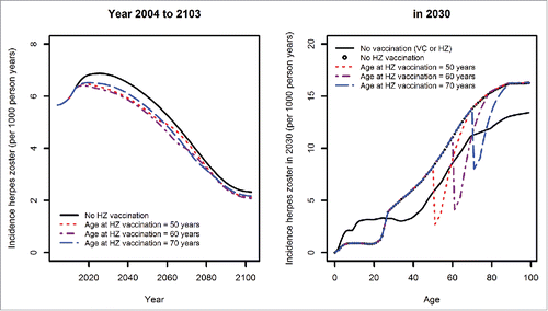Figure 8. Effects of introducing HZ vaccination at different ages in 2015 for the whole population over time (left) and by age for the year 2030 (right), assuming coverage of 100% in both cases.