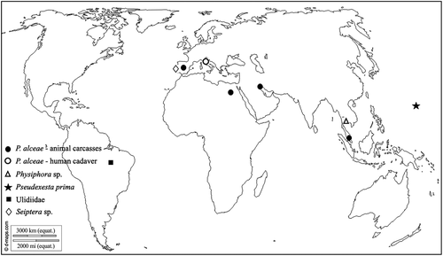 Figure 1. Records of P. alceae and other Ulidiidae sampled during experiments carried out for forensic purposes (world map from © 2007–2018 d-maps.com)