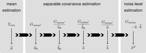 Fig. 1 Workflow of the proposed estimation procedure. We estimate firstly the mean from the data {Ynm}, then the separable covariance (in several steps) from the raw covariances {Gnmm′}, and finally the noise level. A surface smoother over a 2D domain is used in every step (once per a single thin arrow).