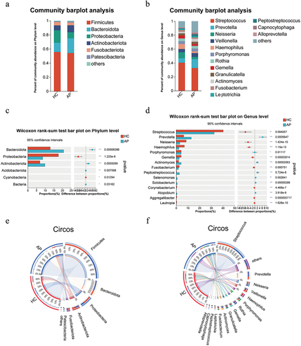 Figure 2. Oral microbiota composition. average bacterial community composition at the phylum (a) and genus levels (b) levels. Analysis of species differences in oral flora between AP HC groups at the phylum(c and genus (d) levels. On the left, the X- and Y-axis represents the average relative abundance of the gut microbiota species in various groups and the gut microbiota species names at a certain classification level, respectively. On the right, the X- and Y-axis represents different gut microbiota species between various groups and p value of significance. *0.01 < p < 0.05, **0.01 < p < 0.001, ***p < 0.001. Circos diagram of microbial composition at the phylum(E) and genus(F) level in the three groups (left and right semicircles represent different samples and different species).