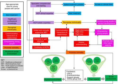 Figure 3 A conceptual model of age-appropriate care.