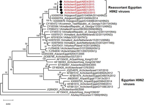 Figure 3. Phylogenetic tree of PB2 gene for 5 selected Egyptian viruses labeled with red taxa, showed highly genetic relatedness with A/pigeon/Egypt/S10409A/2014, A/mallard/Republic of Georgia/13/2011(H6N2) and A/common Teal/Georgia/1/2011(H3N8).