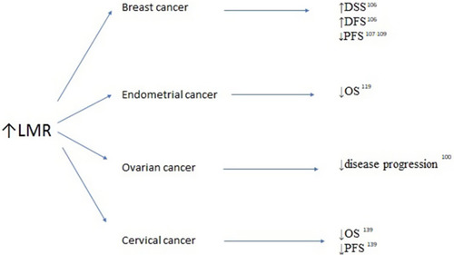 Figure 3 Association between elevated lymphocyte-to-monocyte ratio (LMR) survivals and clinicopathological features in breast, endometrial, ovarian and cervical cancers.