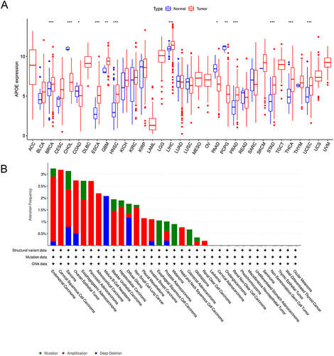 Figure 1 Differential expression and alteration of APOE. (A) Comparison of APOE levels between tumor and normal tissues. *P < 0.05, **P < 0.01, and ***P < 0.001. (B) Alteration frequency of APOE mutations in multiple cancer types.