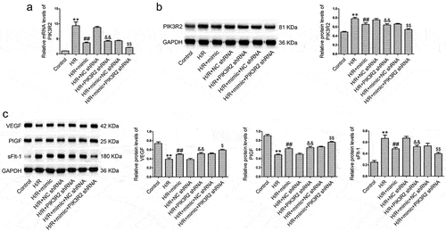 Figure 5. PIK3R2 knockdown enhances the effects of miR-135b-5p overexpression on angiogenesis-associated genes in H/R-exposed cells. (a) PIK3R2 levels were determined by real-time PCR (internal control: GAPDH). (b) PIK3R2 levels were determined by western blotting (internal control: GAPDH). (c) VEGF, PIGF, and sFlt-1 levels were determined by western blotting (internal control: GAPDH). **P < 0.01 vs. Control group. ##P < 0.01 vs. H/R group. &&P < 0.01 vs. H/R+ NC shRNA group. $P < 0.05, $$P < 0.01 vs. H/R+ mimic+NC shRNA group.