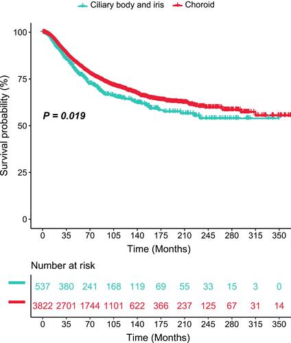 Figure 2 The difference in cancer-specific survival between choroid melanoma and ciliary body/iris melanoma.