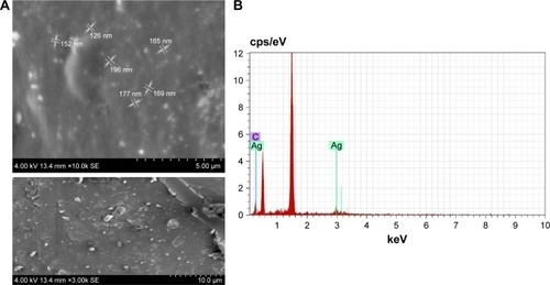 Figure 4 Scanning electron microscopy (A) and energy dispersive X-ray analysis (B) of silver nanoparticles synthesized from Coptis chinensis.