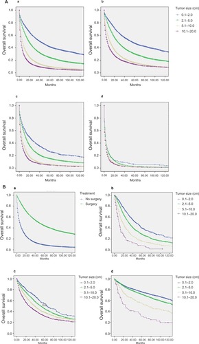 Figure 3 (A) Survival by tumor size (cm) and stage of HCC was determined using Kaplan–Meier curves: a, all stages; b, localized; c, regional; and d, distant. (B) Survival by tumor size (cm) and different surgical types was determined using Kaplan–Meier curves: a, surgery vs no surgery; b, destruction; c, resection; and d, transplant.Abbreviation: HCC, hepatocellular carcinoma.