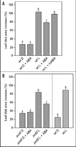 Figure 3 Effect of ABA on light-induced leaf disk growth of young expanding pea leaves of wt (A) and pcd2 (B). Leaf disks were floating on 10 mM KCl in darkness or in white light for 22.5 hr in the presence or absence of 50 µM ABA or the biologically inactive isoform t,t-ABA (50 µM). Growth is expressed as explained in the legend of Figure 2. The values are means ± SE of at least four independent experiments. The letters above the bars indicate the statistical group of the results from a one-way ANOVA, with Newman-Keuls as post test, α = 0.05. D = dark; L = light (150 µmol m−2s−1).