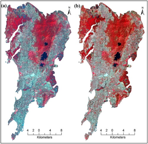 Figure 3. False color composite after fusion of (a) Landsat 8 OLI and (b) Landsat 9 OLI-2 data.