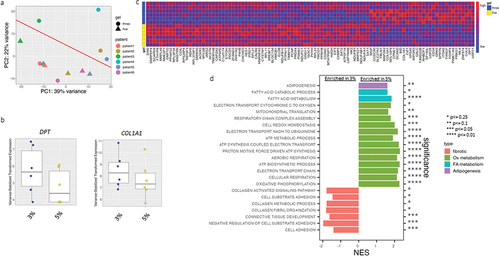 Figure 3. Hydrogel density regulates VAT adipocyte transcriptional phenotype.