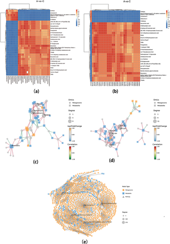 Figure 8. Combined metagenomic and metabolomic analysis (Group A: JDSB, Group C: jiaotou).