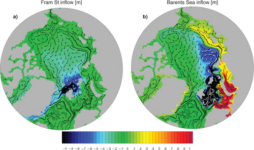 Fig. 7 Same as in Fig. 5 but for the Atlantic water (AW) inflow tracers: (a) from the Fram Strait (b) from the Barents Sea Opening.