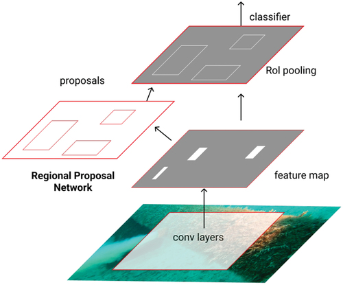 Figure 5. An overview of object detection with faster R-CNN.