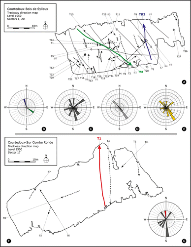 Figure 7. Schematic trackway orientation diagrams for levels SCR1500 and BSY1050, drawn to scale. Dashed lines indicate theropod trackways (T), grey lines sauropod trackways (S), and coloured lines (red, green, blue) the three Jurabrontes trackways (SCR1500-T1, BSY1050-TR1, BSY1050-TR2). (A) level BSY1050, the blue line indicates trackway BSY1050-TR2 with one paratype; the green line indicates trackway (BSY1050-TR1) with a less good preservation and one referred specimen; (B) rose diagram for both Jurabrontes (TR) trackways; (C) rose diagram for 28 small and one medium-sized theropod (T) trackways; (D) rose diagram for one medium-sized and seven large sauropod (S) trackways; (E) rose diagram for the entire BSY1050 ichnoassemblage (all sauropods and theropods); (F) level SCR1500, the red line indicates the holotype trackway SCR1500-T1; (G) rose diagram for all tridactyl trackways of the SCR1500 ichnoassemblage. The red bar indicates holotype trackway SCR1500-T1. Seven small theropods left the other trackways.