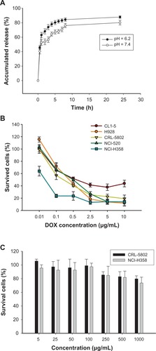 Figure 2 (A) In vitro DOX release from Micelle DOX carried out in 0.1 M PBS at pH = 6.2 or 7.4 at 37°C (n = 4). (B) Cell viability of five non-small-cell lung cancer cells exposed to Micelle DOX at various DOX concentrations. (C) Cell viability of CRL-5802 and NCI-H358 exposed to CSMA-g-PCL (n = 8).Abbreviations: DOX, Doxorubicin; PBS, Phosphate-buffered saline; CSMA-g-PCL, Poly(ε-caprolactone)-g-methacrylated chondroitin sulfate.