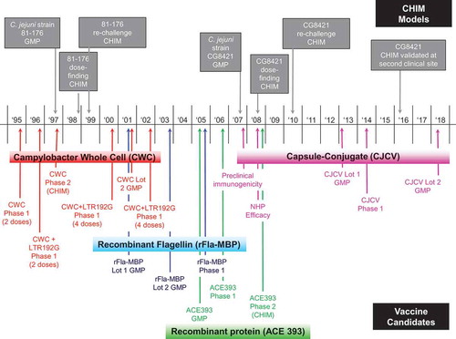 Figure 2. Campylobacter vaccine development history
