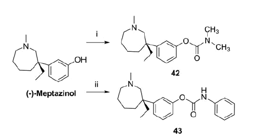 Scheme 2. Synthesis of 42 and 43.aaReagents and conditions: (i) Me2NCOCl, NaH, dry THF, 0 °C to rt, 2 h, 100%; (ii) PhNCO, Na, dry Et2O, rt, 3 h, 72%