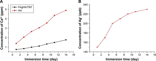 Figure 7 Amount of calcium (A) and silver (B) species delivered per surface area released from the FAgHA coating under static incubation at 37°C in PBS.Abbreviations: PBS, phosphate-buffered saline; HA, hydroxyapatite; FAgHA, F-and-Ag-substituted HA.