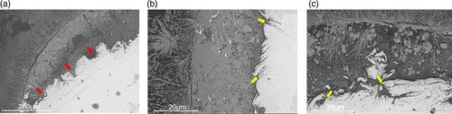 Figure 4. SEM micrographs of the metallic zinc-corrosion product interface: (a) relatively wide ‘pits’ or local areas of attack (red arrows), and (b)–(c) very narrow corrosion penetration extending 5–20 µm in depth (yellow arrows) represented by the striations in Figure 5.