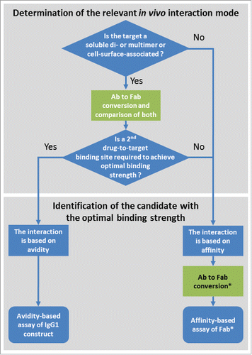 Figure 9. Suggested decision tree during lead identification of bivalent and multivalent antibodies (Ab) for the determination of the relevant in vivo interaction mode and the identification of the candidate with the optimal binding strength. Check points involving the conversion of the bivalent and multivalent antibodies to Fabs are highlighted in green. *In the case of a monovalent target and an available assay excluding avidity (e.g., using the soluble monovalent target in solution), the Ab to Fab conversion may be omitted.