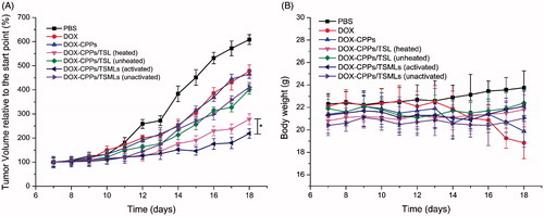 Figure 6. Antitumor activity (A) and body weight changes (B) in MCF-7 tumor-bearing mice after treatments with PBS and various formulations. The data are presented as the mean ± SD (n = 6). *indicates p < 0.05.
