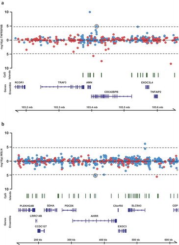 Figure 4. Regional association plots of CpG sites at which methylation levels were associated with multiple protein biomarkers. P-values from mixed models testing the association between (a) TNFRSF6B and CpG sites within 250kb of cg02003183 and (b) MSLN and CpG sites within 250kb of cg02003183. Points above the line represent positive associations between methylation and protein levels, and points below the line represent inverse associations. Blue points represent CpG sites on the Illumina 450k Infinium array, red points represent CpG sites on the Illumina 850k EPIC array.