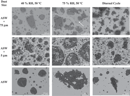 Fig. 10. Post-exposure exemplar SEM images prior to removal of corrosion products and residual salts and dust for all exposure types and dust depositions and 1-month exposure.