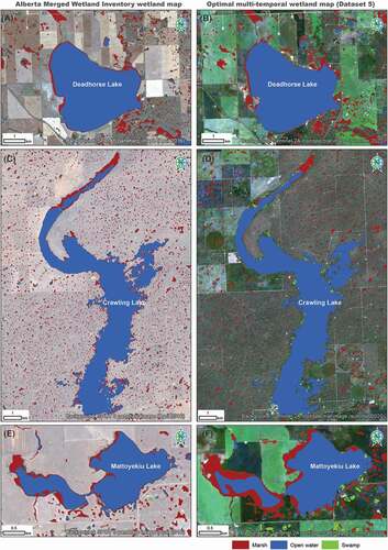Figure 7. Optimal wetland classification generated using multi-temporal Sentinel-2 multispectral and Sentinel-1A radar imagery fused with LiDAR-derived Topographic Wetness Index