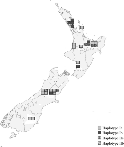 Figure 4 Location of New Zealand collections of Schizophyllum commune with haplotype group indicated.