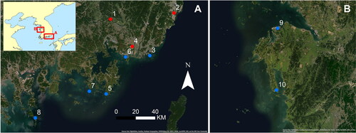 Figure 1. The locations of archaeological sites mentioned in the text. (A) South coast, showing our sites in red, including Bibongri (1), Sejukri (2), Tongsamdong (3), and Beombang (4) as well as others in blue, including Janghang (5), Daepo (6), Yeondaedo (7), and Ando (8); (B) west coast, showing Dejukri (9) and Gonamri (10). The same scale for both maps. Satellite imagery credits: Esri, DigitalGlobe, GeoEye, Earthstar Geographics, CNES/Airbus DS, USDA, USGS, AeroGRID, IGN, and the GIS User Community.