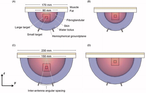 Figure 1. 2-antenna array applicator with small breast model with target located in the breast centre (A) and near the chest wall (B) and large breast model with target located in the breast centre (C) and near the chest wall (D).