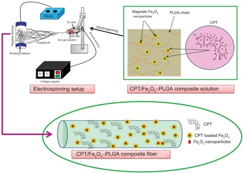 Figure 1 Illustration for the preparation of camptothecin/iron(III) oxide-embedded poly(D,L-lactide-co-glycolide) composite fibers by electrospinning process.Abbreviations: CPT, camptothecin; Cu, copper; Fe2O3, iron(III) oxide; PLGA, poly(D,L-lactide-co-glycolide).